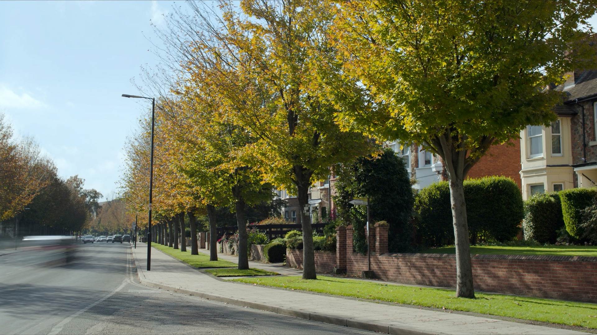 A tree-lined avenue of brick houses in early autumn sunlight